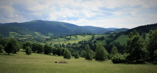 8 Pętla Janowej Góry