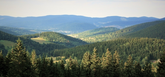 9 Do Schroniska "Na Śnieżniku"