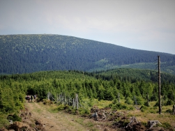 9 Do Schroniska Na Śnieżniku