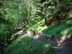 Pętla Międzygórze - Singletrack Glacensis