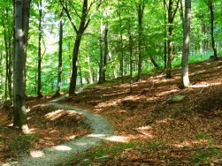 Pętla Złoty Stok - Singletrack Glacensis