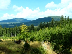 Pętla pod Śnieżnikiem Singletrack Glacensis