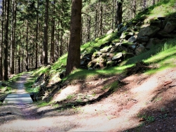 Singletrack Glacensis pętla Rudka