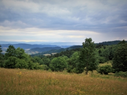 Stary Gierałtów - Przełęcz Lądecka