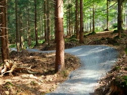 Pętla pod Śnieżnikiem Singletrack Glacensis