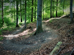 Pętla Kłodzka