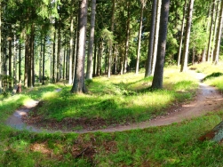 Pętla pod Śnieżnikiem Singletrack Glacensis