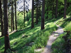 Singletrack Glacensis pętla Rudka