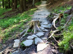 Singletrack Glacensis pętla Rudka