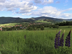 Pętla Stronie Śląskie - Singletrac Glacensis
