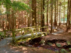 Pętla pod Śnieżnikiem Singletrack Glacensis
