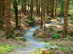 Pętla pod Śnieżnikiem Singletrack Glacensis