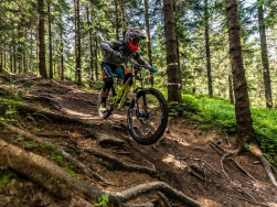 Bike Park Czarna Góra