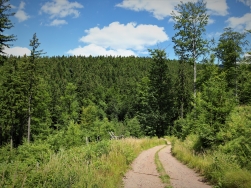 Pętla Ostoja